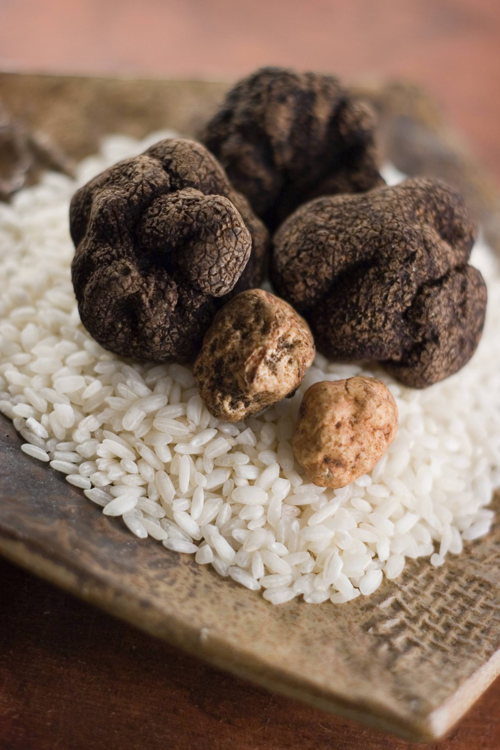 The real deal, Perigord and Piedmont Truffles together nestled on a bed of Abrborio rice.